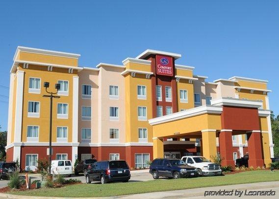 Comfort Suites Near Tanger Outlet Mall Gonzales Exterior photo